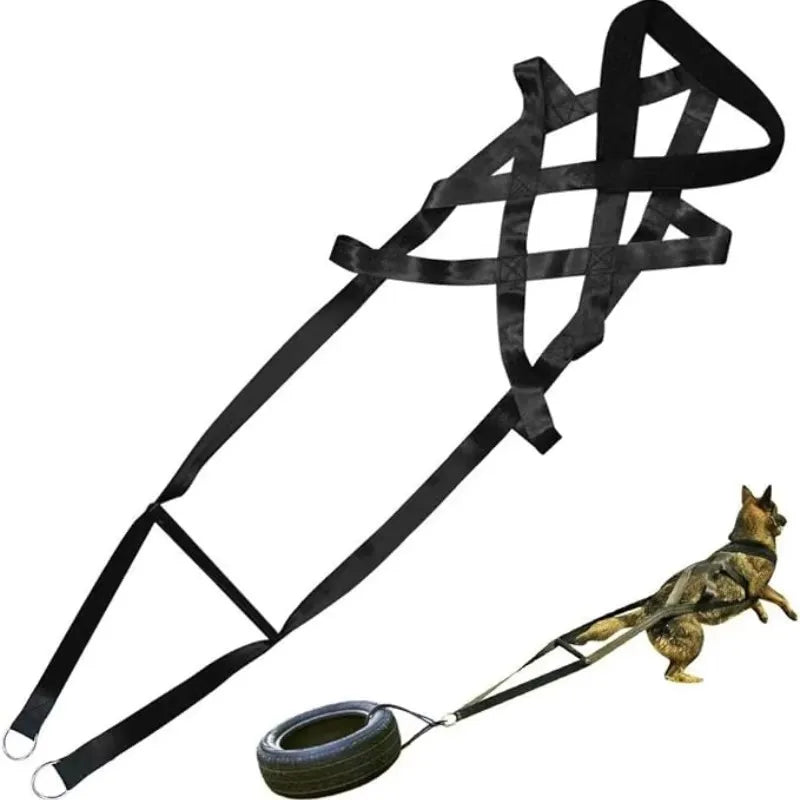 Large Working Dog Pull Training Leash Sled Safety Belt for Behavior Training Durable Dog Leash for Dog Sled Enthusiasts