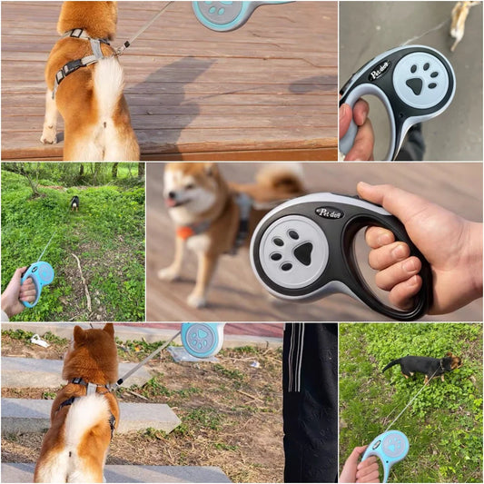 Hundkoppel med Tassdesign 3–5 m – Stark Nylon för Små & Medelstora Hundar, Grön/Svart/Himmelsblå/Rosa