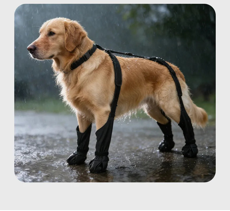 Dog Leg Knee Patella Protection Joint Auxiliary Rehabilitation Ligament Joint Dislocation Pet Dirtproof Waterproof Rain Shoes