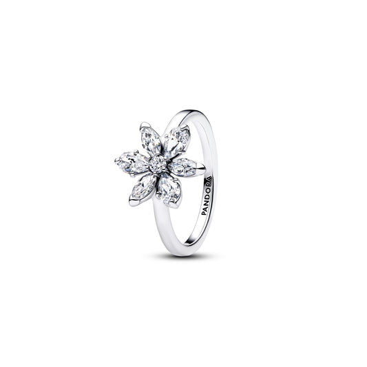 Pandora Anel Pandora, Prata 925