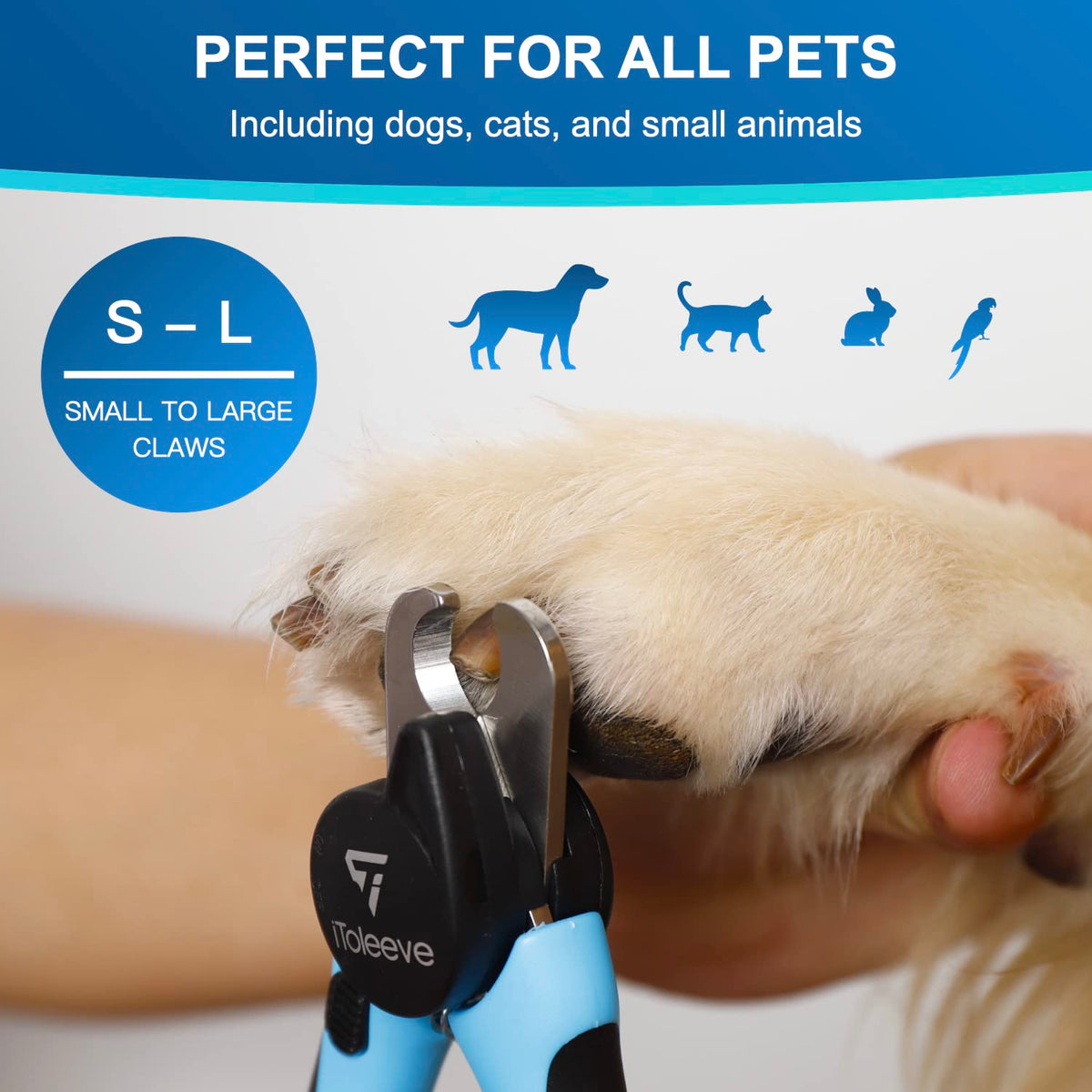 iToleeve LED Hundnagelklippare med ljus – belyser nageln & blodlinjen för säker och enkel klippning, extra vass för tjocka naglar, snabbsensor, undviker överskurning, för katter & hundar