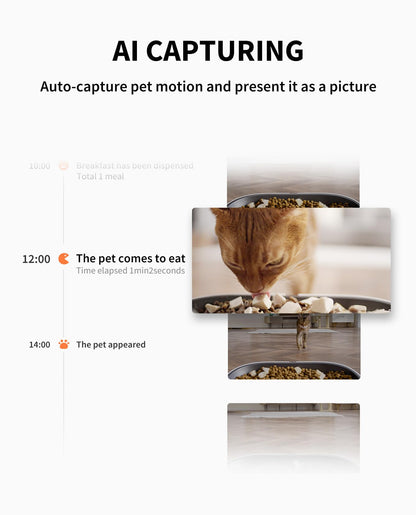 PETKIT Automatisk Kattmatare med Kamera