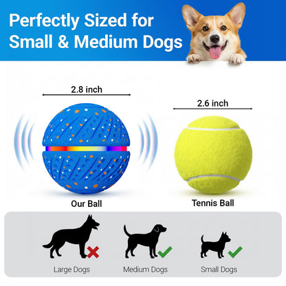 GULUNOOK Interaktiv Hundbollleksak för små & medelstora hundar – Smart automatiskt rörlig studsande boll med LED-ljus, 3 lekmoder, hållbar E-TPU, USB-laddningsbar, 7 cm hundleksak
