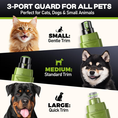 Viskande tyst hundnagelslipare – 50% kraftigare, 6 hastigheter, LED-display & 4 LED-lampor, 3 slipbitar, ingen överskurning, stressfri vård för hundar, katter & känsliga husdjur
