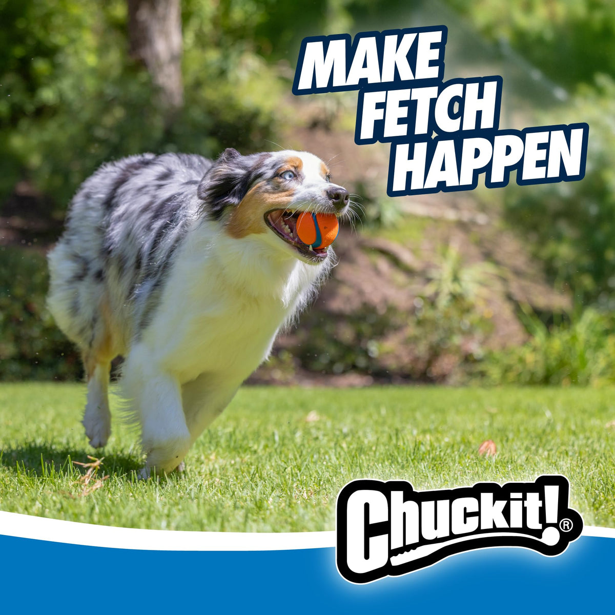 Chuckit! Ultra Hundbollleksak & Kastare – Inomhus Apportboll