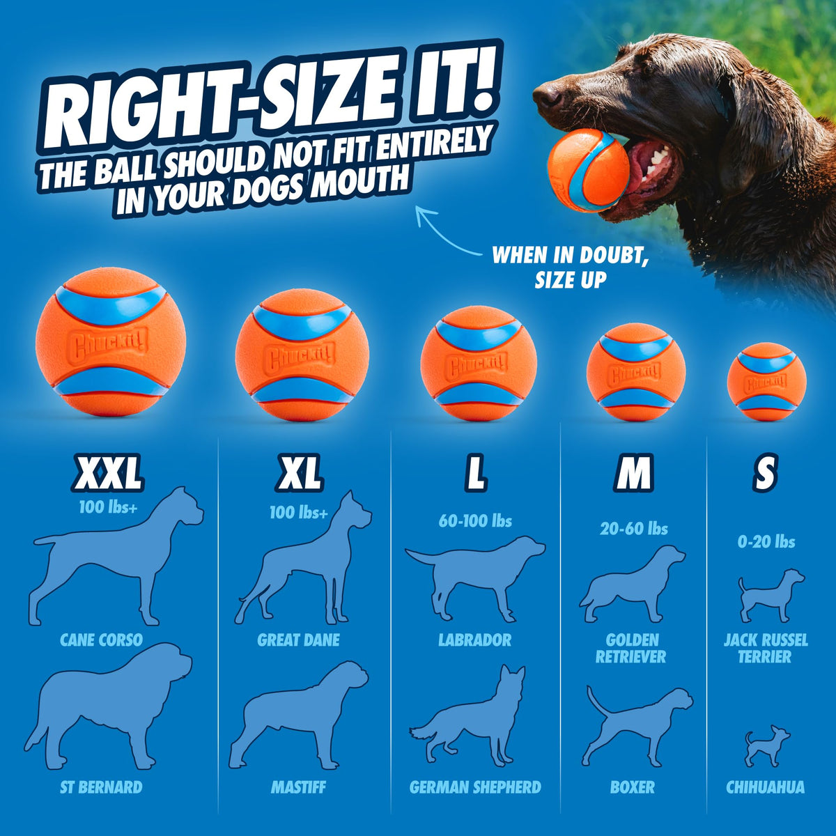 Chuckit! Ultra Hundbollleksak & Kastare – Inomhus Apportboll