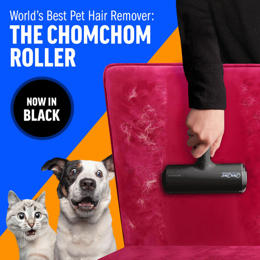 ChomChom Pälsborttagningsrulle – Återanvändbar, hund & katt, soffa, matta & bilsits, 4 varianter