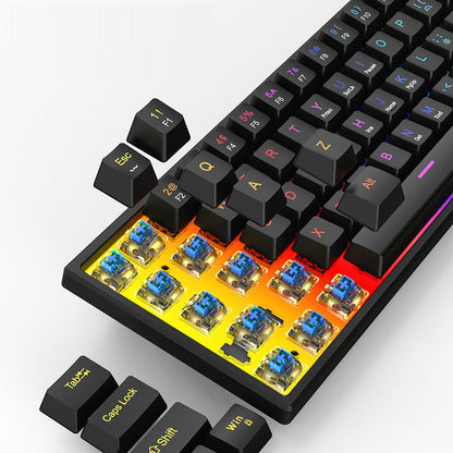 K61 Kompakt Mekaniskt Tangentbord – Blå Axlar, 61 Tangenter, RGB och Avtagbar Kabel