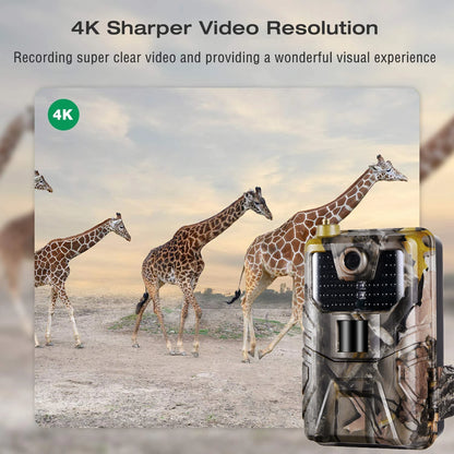 SuntekCam HC-900 Pro Viltkamera – 4G LTE, 4K, IR-nattsyn 20 m, IP65, App-styrd