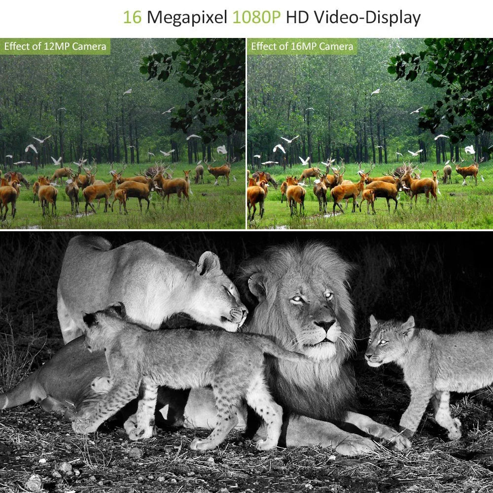 20MP 1080P Night Vision Waterproof Wireless Hunting Camera Trail Cameras MiNi301 Photo Trap for Wildlife