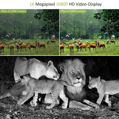 20MP 1080P Night Vision Waterproof Wireless Hunting Camera Trail Cameras MiNi301 Photo Trap for Wildlife