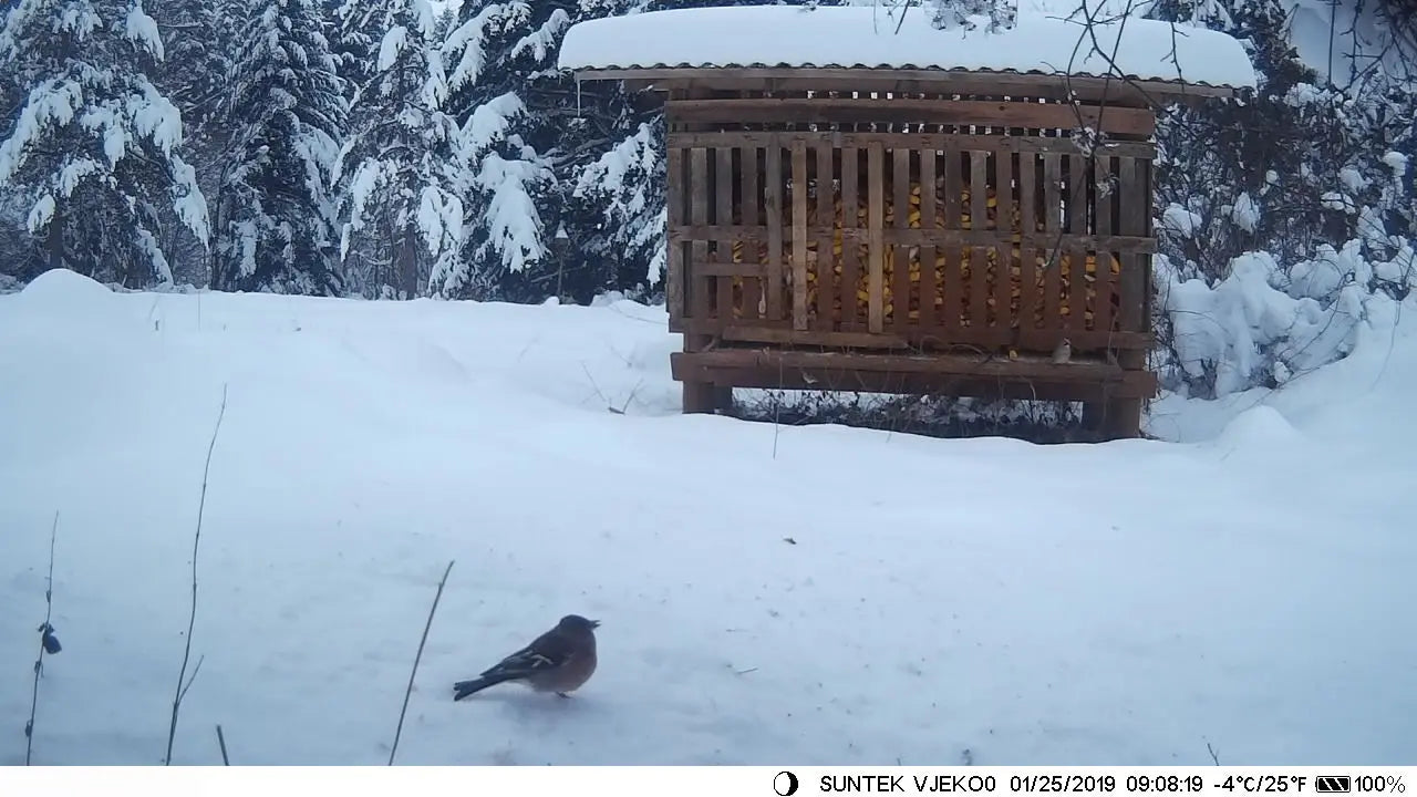 1080P Night Vision Trail Hunting Camera 20MP HC801A-LI with 5000mAh Lithium Battery Wild Photo Trap