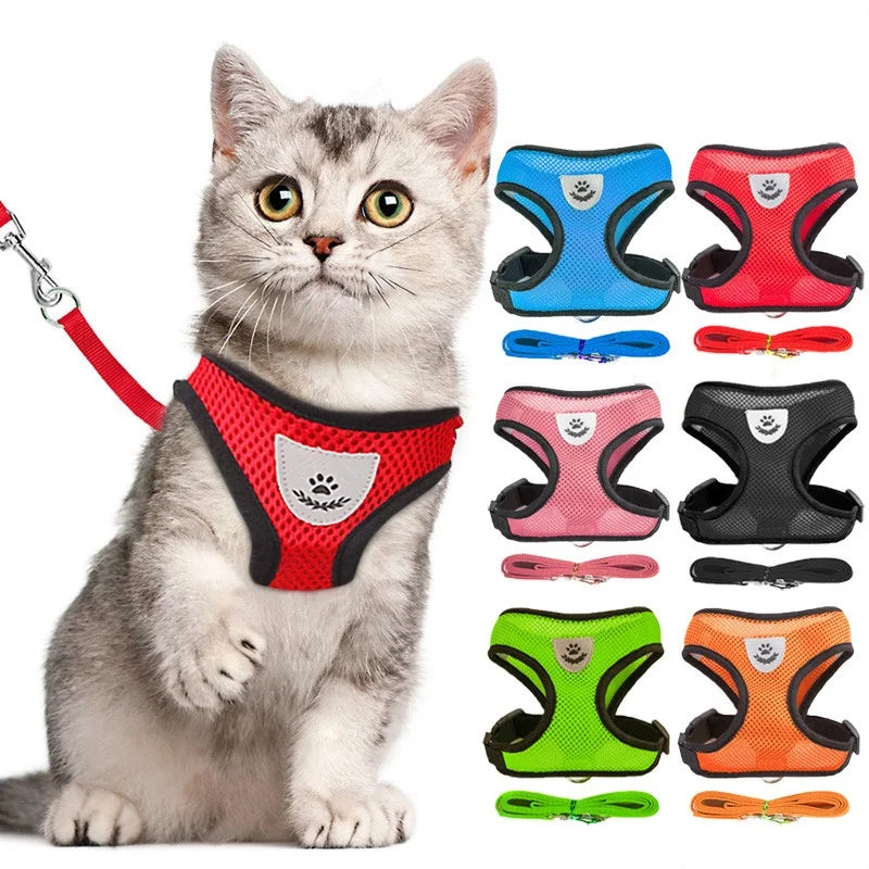 Dog Harness Cat Harness Dogs Leashs Training Soft Mesh Chest Strap Supplies Adjustable Outdoor Walking Cat Lead For Dog And Cats
