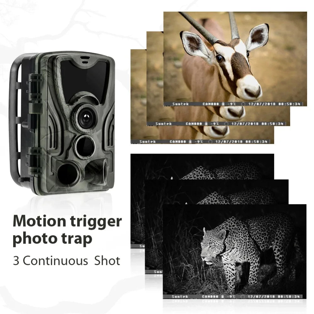 HC801A Trådlös Åtelkamera 20MP 1080P Mörkerseende IP65 Vattentät
