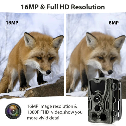 HC801A Trådlös Åtelkamera 20MP 1080P Mörkerseende IP65 Vattentät