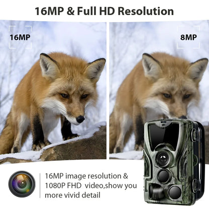 1080P Night Vision Trail Hunting Camera 20MP HC801A-LI with 5000mAh Lithium Battery Wild Photo Trap