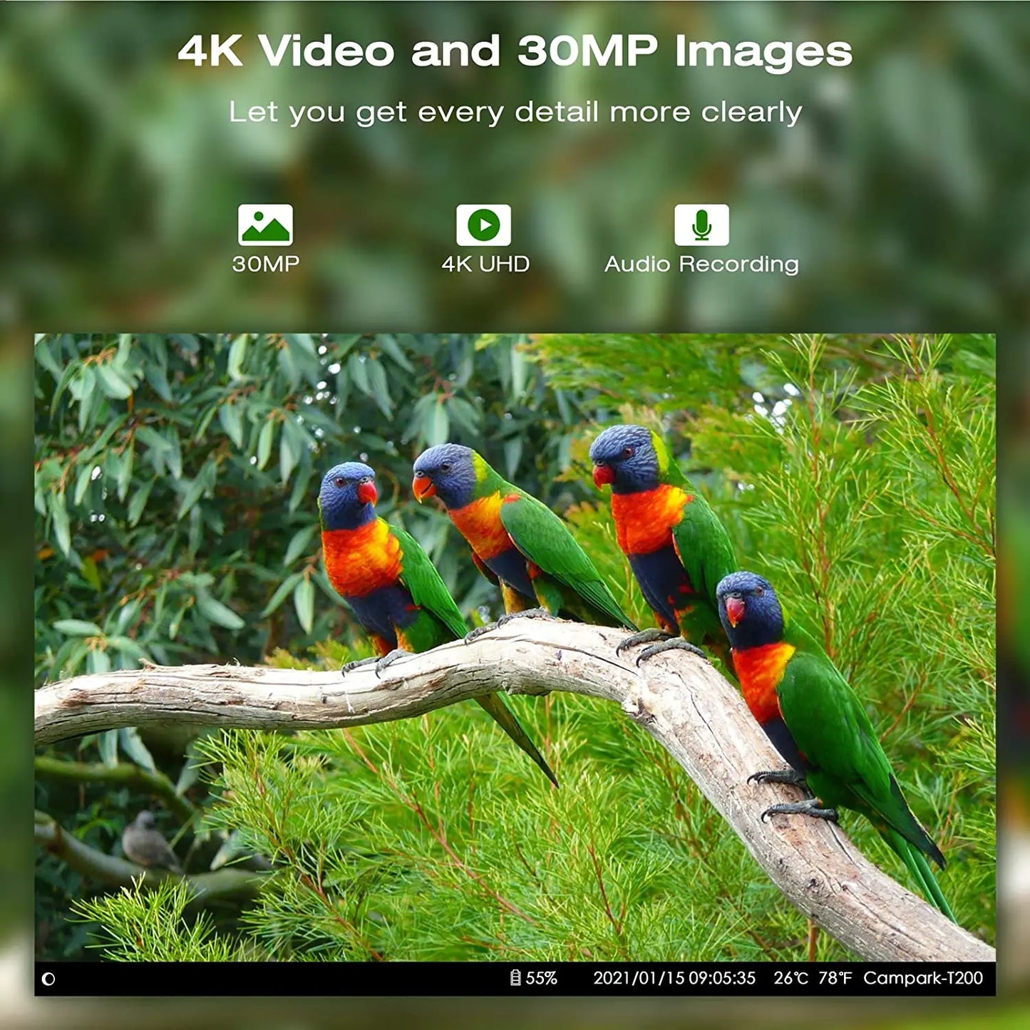 Suntekcam HC-801 Series APP Control 4G 20MP 1080P Hunting Trail Camera Wireless Wildlife Cameras 0.3S Trigger Night Vision