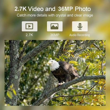 36MP 2.7K Trail Camera Wireless Night Vision Photo Trap 940nm Low Glow Infrared Hunting Cam HC900A for Wildlife Surveillance