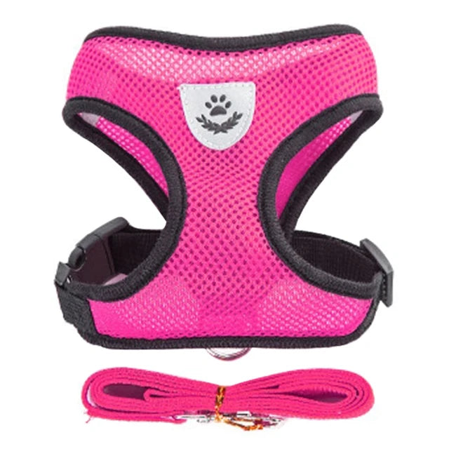 Dog Harness Cat Harness Dogs Leashs Training Soft Mesh Chest Strap Supplies Adjustable Outdoor Walking Cat Lead For Dog And Cats