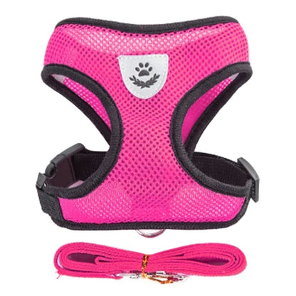 Dog Harness Cat Harness Dogs Leashs Training Soft Mesh Chest Strap Supplies Adjustable Outdoor Walking Cat Lead For Dog And Cats