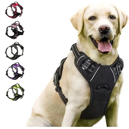 Hundsele & Halsband Set – Läder, S–XL, Svart/Grön/Röd/Blå/Rosa/Lila/Rosröd/Gul