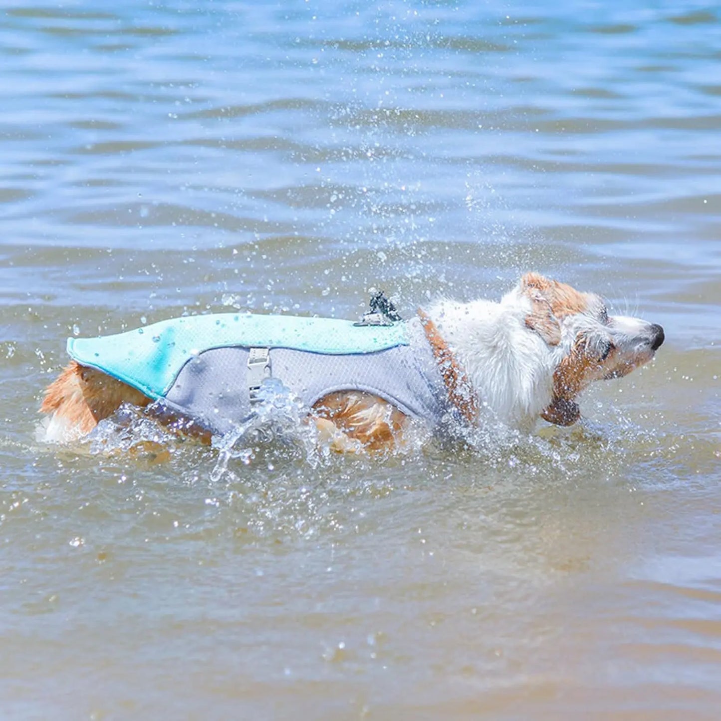 Summer Pet Dog Cooling Vest Heat Resistant Cool Dogs Clothes Breathable Sun-proof Clothing For Small Large Dogs Outdoor Walking
