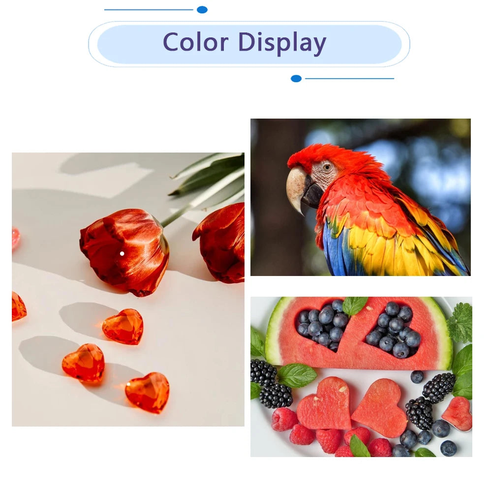 Bläckpatroner 18XL T1811 till Epson Expression Home XP – svart, cyan, magenta och gul