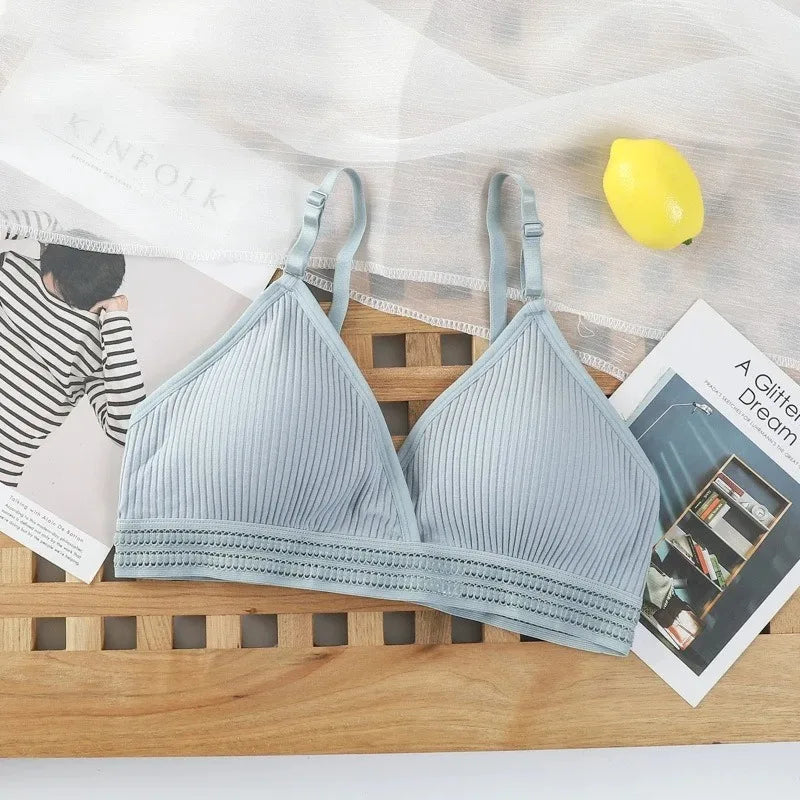 Back Lingerie Wholesale Ladies Autumn Soft Thin Cup Breathable Student Small Chest No Underwire Breast Pad Bra
