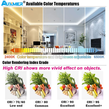 High Power 2835 LED Strip Lights,Mono Color,120LEDs/m 240LEDs/m,CRI＞95/90,3SDCM,Super Bright Flex LED DC12/24V,5m/reel,IP20