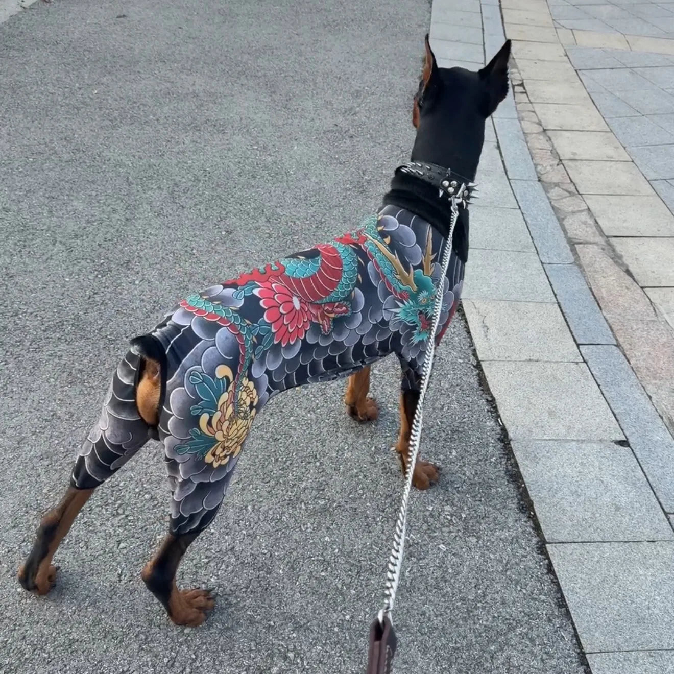 Streetwear Pet Tattoo Suit 4-Way Stretch Full Body Clothes S-10XL Comfortable Dog Cat Costume for Small to Large Pets