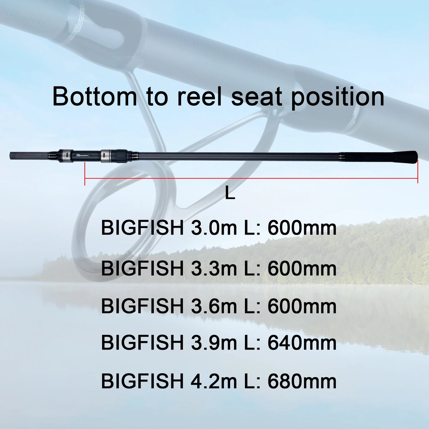 BIUTIFU BIGFISH Carp Surfcasting Rock Fishing Rod 3.0/3.6/3.9/4.2/4.5m T800Carbon 3.5lb Shore Casting 40-200g Spinning Hard Pole