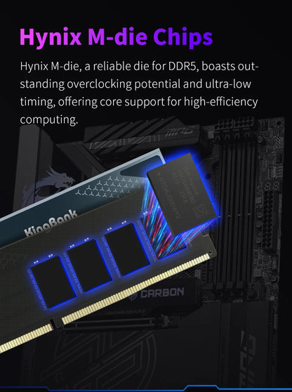 KingBank KFXB Series DDR5 Memory 24GBx2 6800MHz 6000MHz Dual Channel for Gaming And Overclocking with Heatsink Black