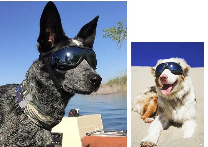 Transparent Color Pet Dog Goggles Waterproof Windproof Sunscreen UV Resistant Large Dog Glasses