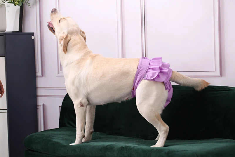 Reusable Female Pet Physiological Pants Washable Big Dog Sanitary Panties Diapers for Medium Large Dogs Mascotas Supplies