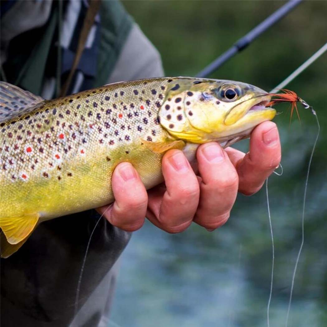 1/3Pcs Fly Fishing Lure Nymph Dry Wet Flies Bionic Bait Fly Trout Fishing Lures