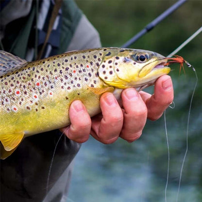 1/3Pcs Fly Fishing Lure Nymph Dry Wet Flies Bionic Bait Fly Trout Fishing Lures