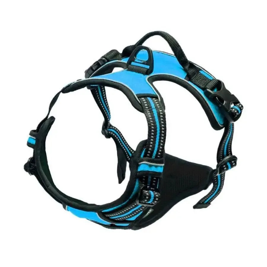 Hundsele & Halsband Set – Läder, S–XL, Svart/Grön/Röd/Blå/Rosa/Lila/Rosröd/Gul