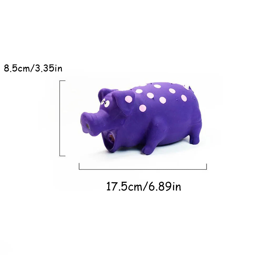 Pipande Grisleksak i Latex för Hund – Squeak, Tuggtålig, Tandvård, Grön/Rosa/Blå/Lila