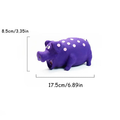 Pipande Grisleksak i Latex för Hund – Squeak, Tuggtålig, Tandvård, Grön/Rosa/Blå/Lila