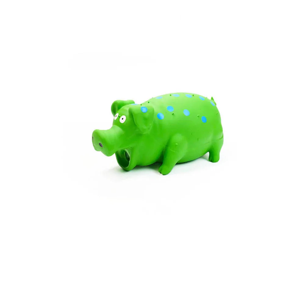 Pipande Grisleksak i Latex för Hund – Squeak, Tuggtålig, Tandvård, Grön/Rosa/Blå/Lila