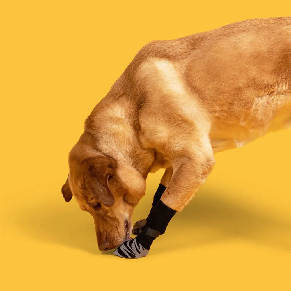 Premium Non-slip Dog Socks for Hardwood Floors, Extra-thick Grip Can Effectively Prevent Licking, Slipping, and Protect Dog Paws
