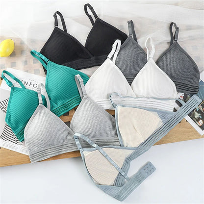 Back Lingerie Wholesale Ladies Autumn Soft Thin Cup Breathable Student Small Chest No Underwire Breast Pad Bra