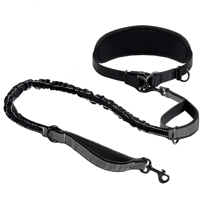 Hands-Free Hundkoppel med Midjerem & Ländryggsstöd – Reflexbungee, Justerbart, Svart