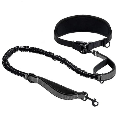 Hands-Free Hundkoppel med Midjerem & Ländryggsstöd – Reflexbungee, Justerbart, Svart