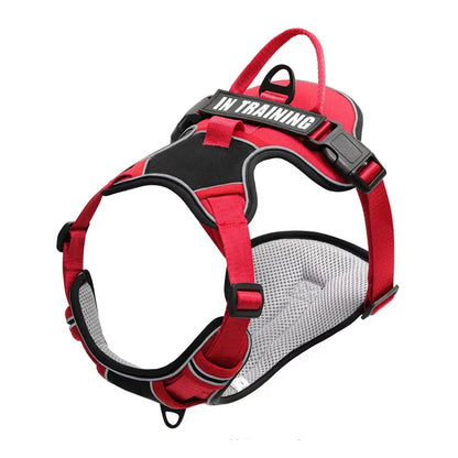 Justerbar Hundsele med Personlig Text – Reflekterande & Andningsbar, S–XL