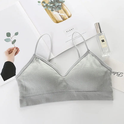 Women Non Wired Bras Seamless Bras Sports Bra Gym Running Push Up Bralette Padded Vest Elastic Brassiere Women Gym Bra Top