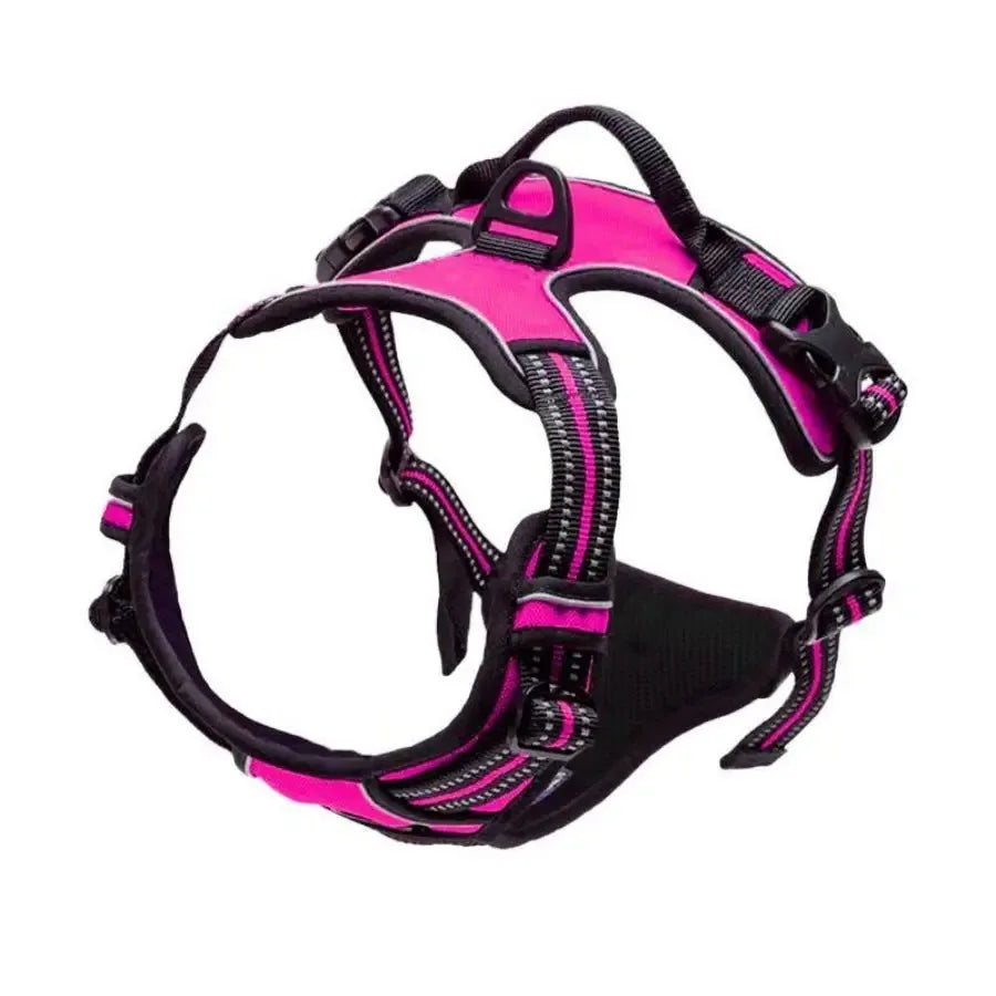 Hundsele & Halsband Set – Läder, S–XL, Svart/Grön/Röd/Blå/Rosa/Lila/Rosröd/Gul