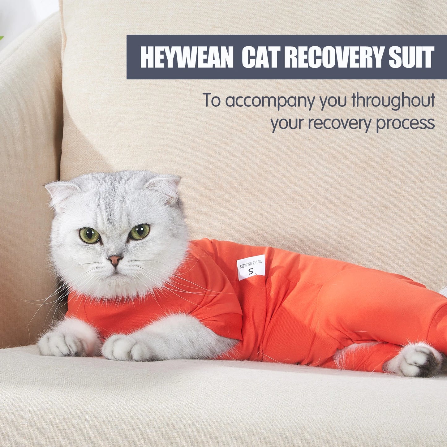 Pet Postoperative Clothes Cat Weaning Cotton Clothes Cat Surgery Recovery Suit Winter Warm Anti-licking Surgery After Recovery