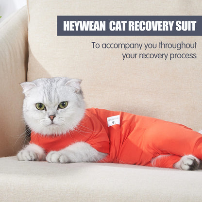 Pet Postoperative Clothes Cat Weaning Cotton Clothes Cat Surgery Recovery Suit Winter Warm Anti-licking Surgery After Recovery
