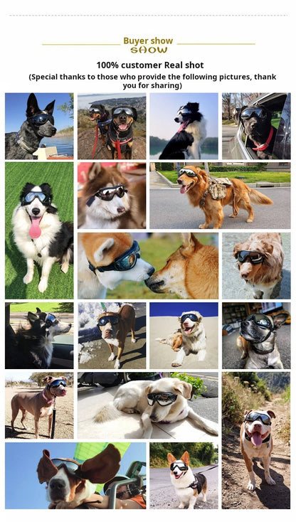 Transparent Color Pet Dog Goggles Waterproof Windproof Sunscreen UV Resistant Large Dog Glasses